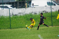 IMGP2236