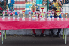 IMGP2375-1