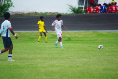 IMGP2380