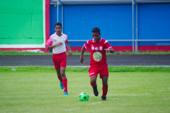 IMGP2405