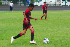 IMGP3021