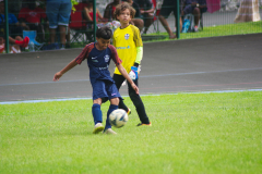 IMGP3022