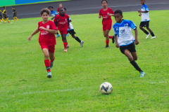 IMGP3027