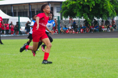 IMGP3034