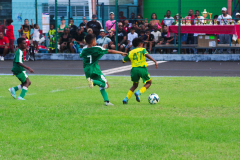 IMGP3143