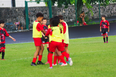 IMGP2698