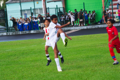 IMGP2709
