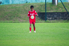 IMGP2881