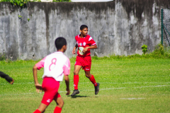 IMGP6894
