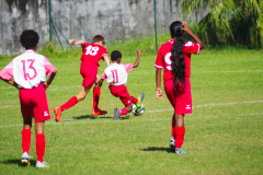 IMGP6898