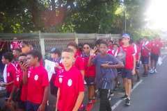 IMGP3533