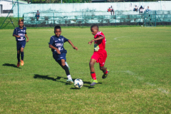 IMGP9105