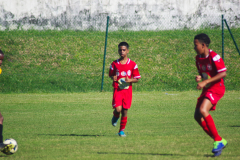 IMGP9146