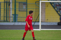 IMGP9465