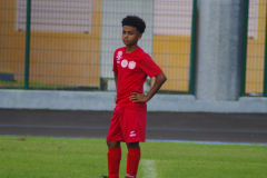 IMGP9490