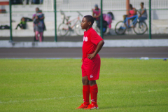 IMGP9519