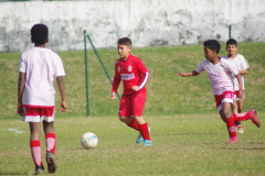 IMGP0527