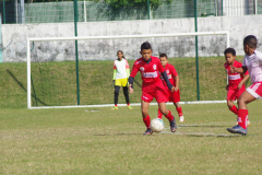IMGP0528