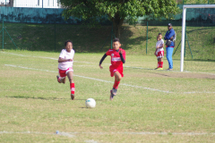 IMGP0538