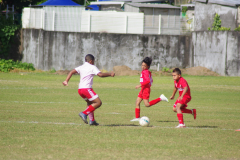 IMGP0551