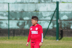 IMGP0553