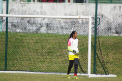 IMGP0557