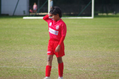 IMGP0571