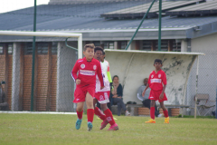 IMGP0584