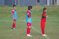 IMGP3726