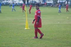 IMGP3743
