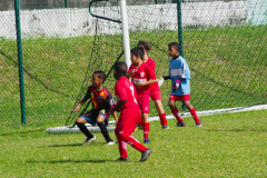 IMGP9423