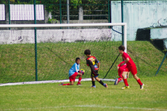 IMGP9426