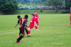 IMGP9458