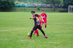 IMGP9459