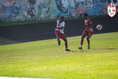 IMGP6306_def