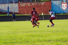 IMGP6360_def