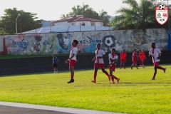 IMGP6365_def