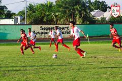 IMGP6381_def