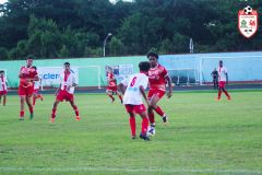 IMGP6413_def