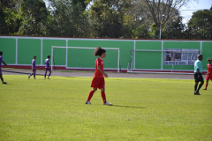 image00013