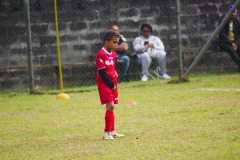 IMGP6131