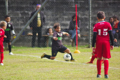 IMGP6136